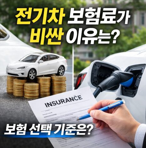 전기차보험료비싼이유