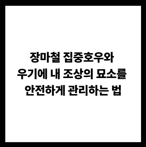 장마철 집중호우와 우기에 내 조상의 묘소를 안전하게 관리하는 법